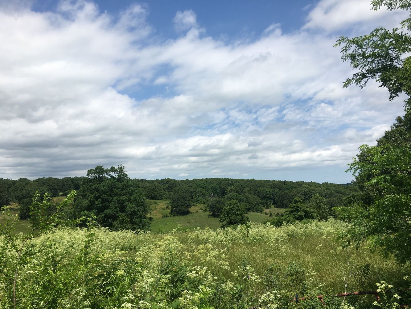 4897 & 4878 Norman Drive, Hartville, MO 65667